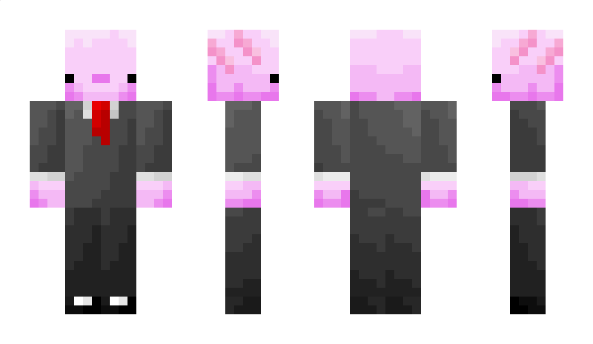 Envist Minecraft Skin