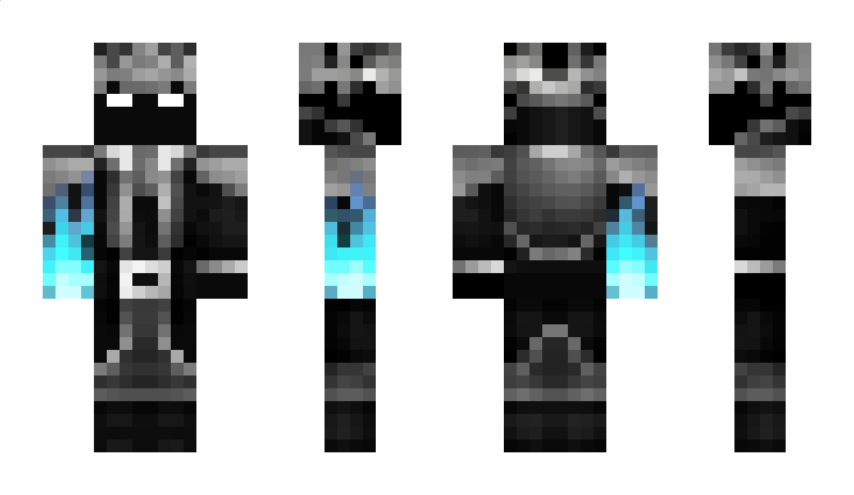 FallDragon61 Minecraft Skin