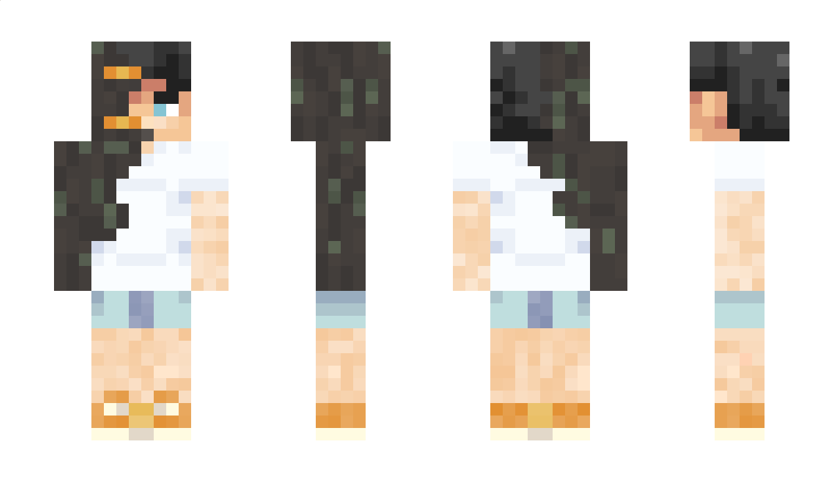 dorwinion Minecraft Skin