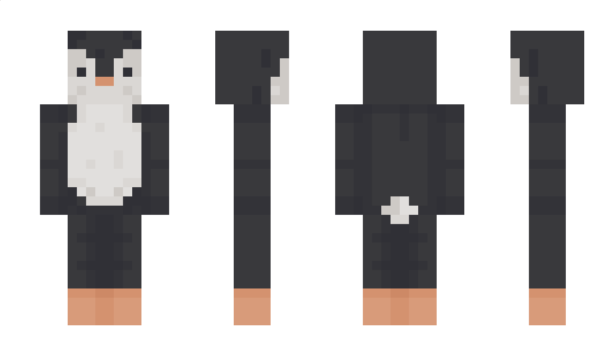 NielsTheBoy1201 Minecraft Skin