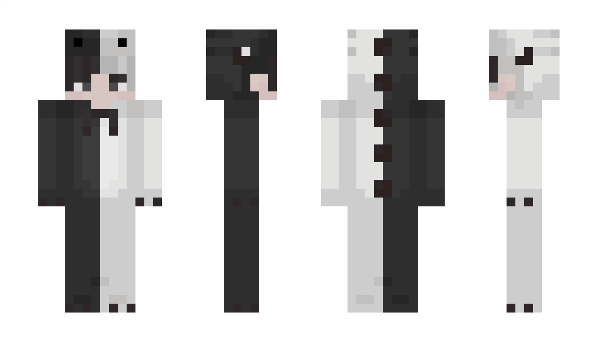 PlayFair_ Minecraft Skin