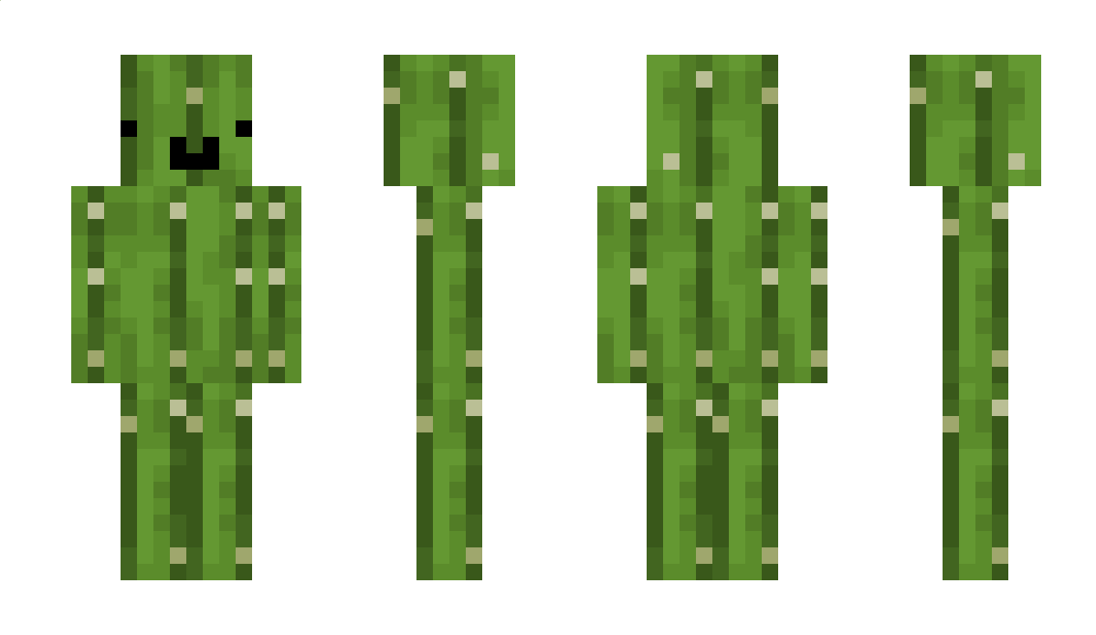 Captaincacti445 Minecraft Skin