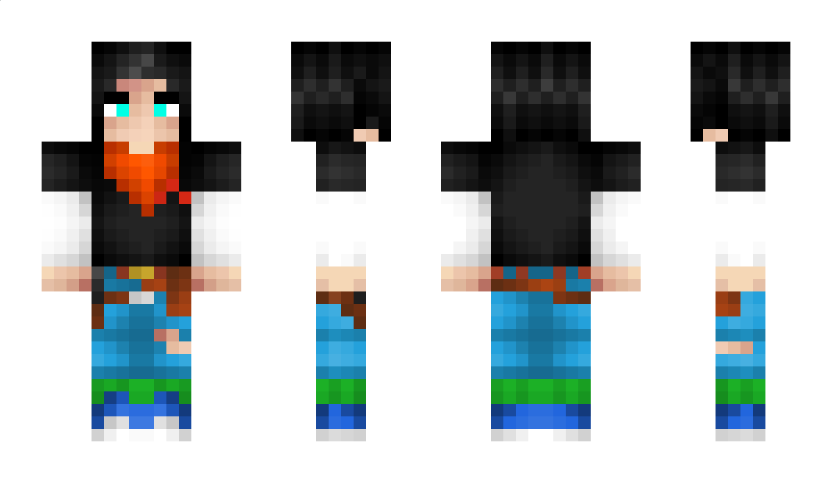 Deltares Minecraft Skin