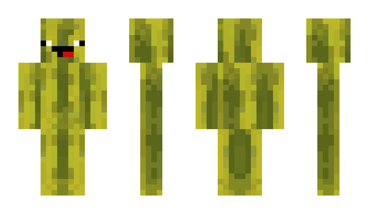 Melonenkopf132 Minecraft Skin