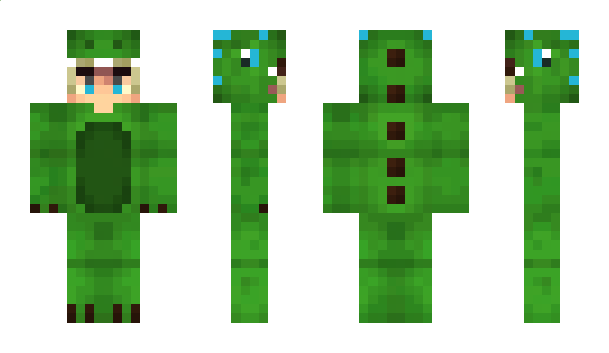 Ho2n Minecraft Skin