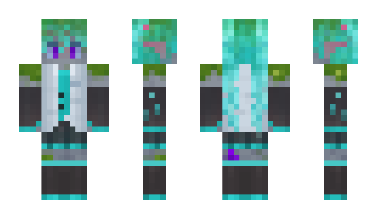 GooseTen Minecraft Skin