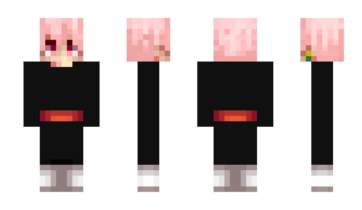 wishkers Minecraft Skin