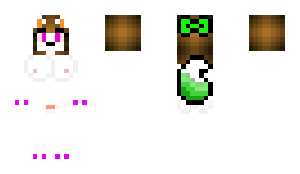 Nachoz Minecraft Skin