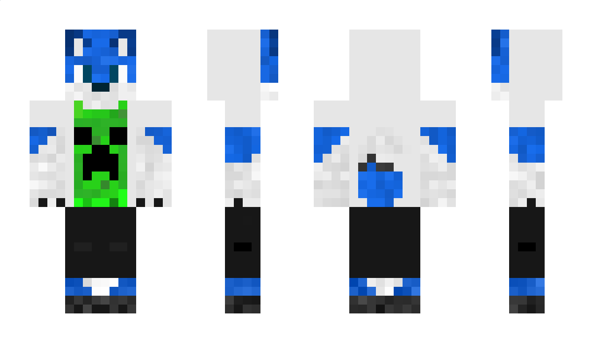 remidu64 Minecraft Skin