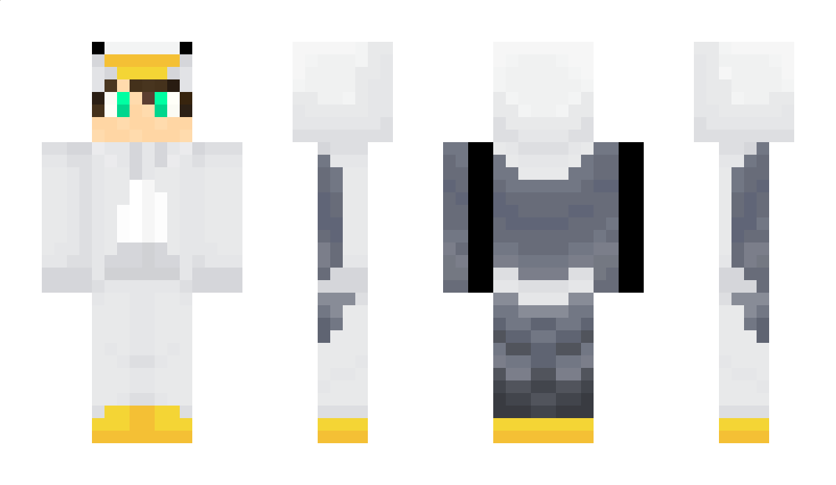 ArcticSeagull Minecraft Skin