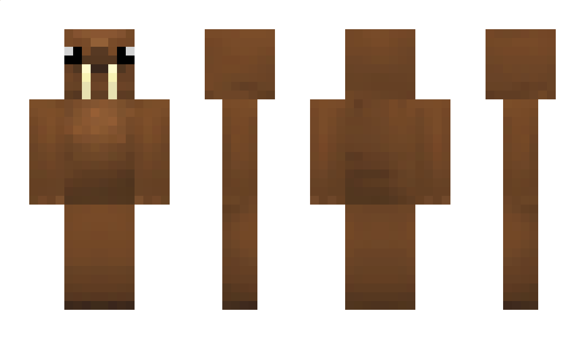 kole1 Minecraft Skin