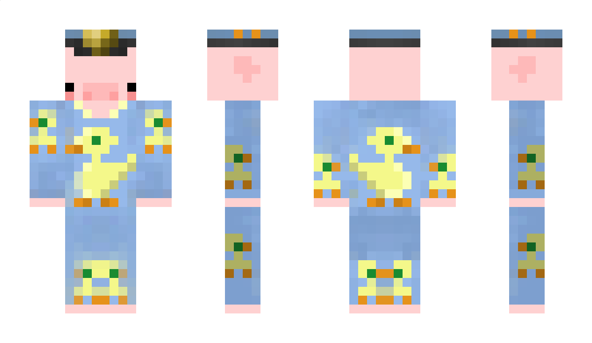 Hier Minecraft Skin