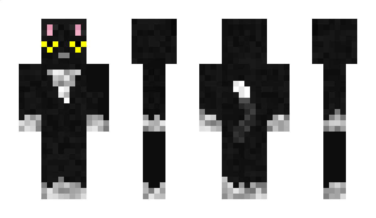 Blackcat810 Minecraft Skin