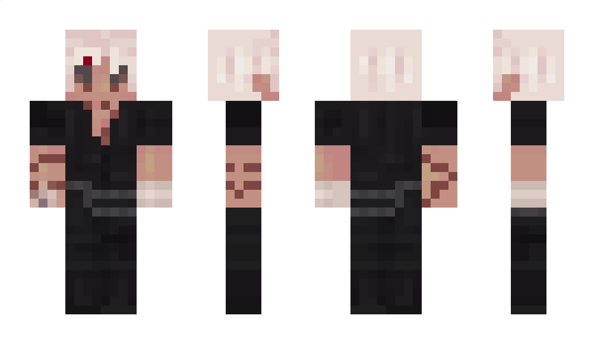 LeVillageoisFou Minecraft Skin