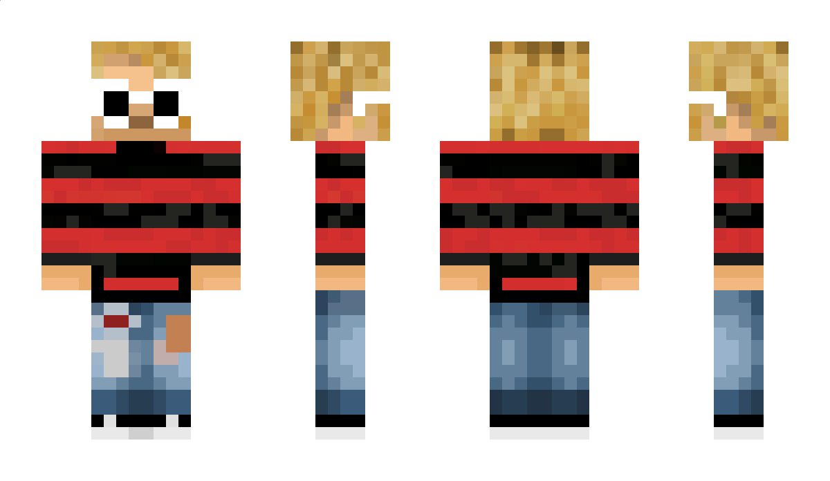 sgip Minecraft Skin