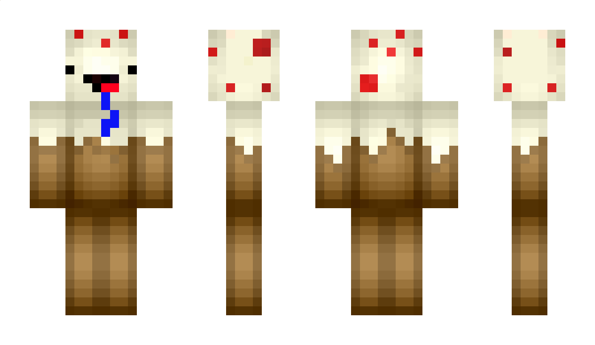 ciastko2013 Minecraft Skin