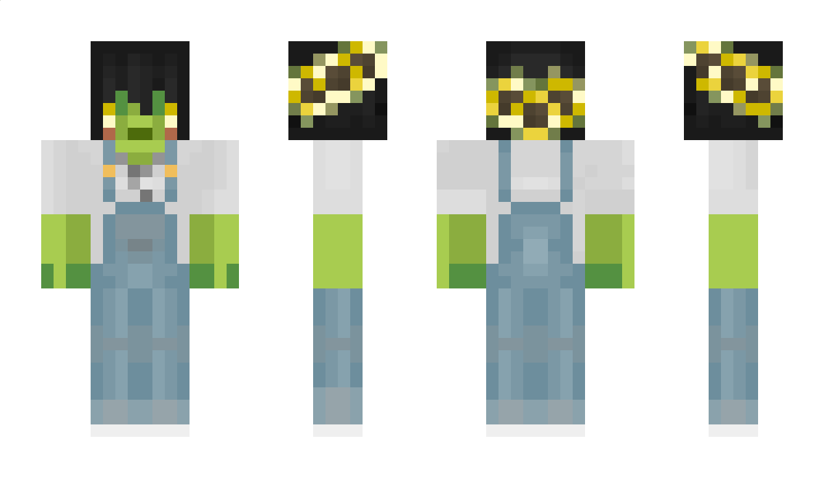 romanntis Minecraft Skin