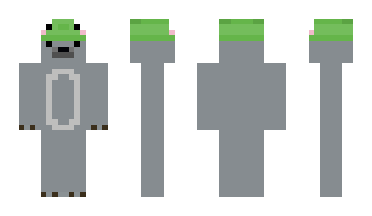 Sealion Minecraft Skin