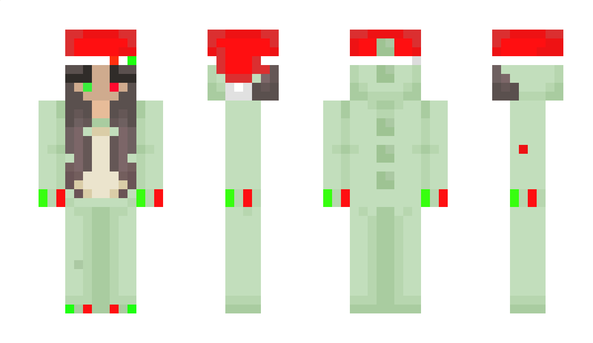 NovaSwed Minecraft Skin