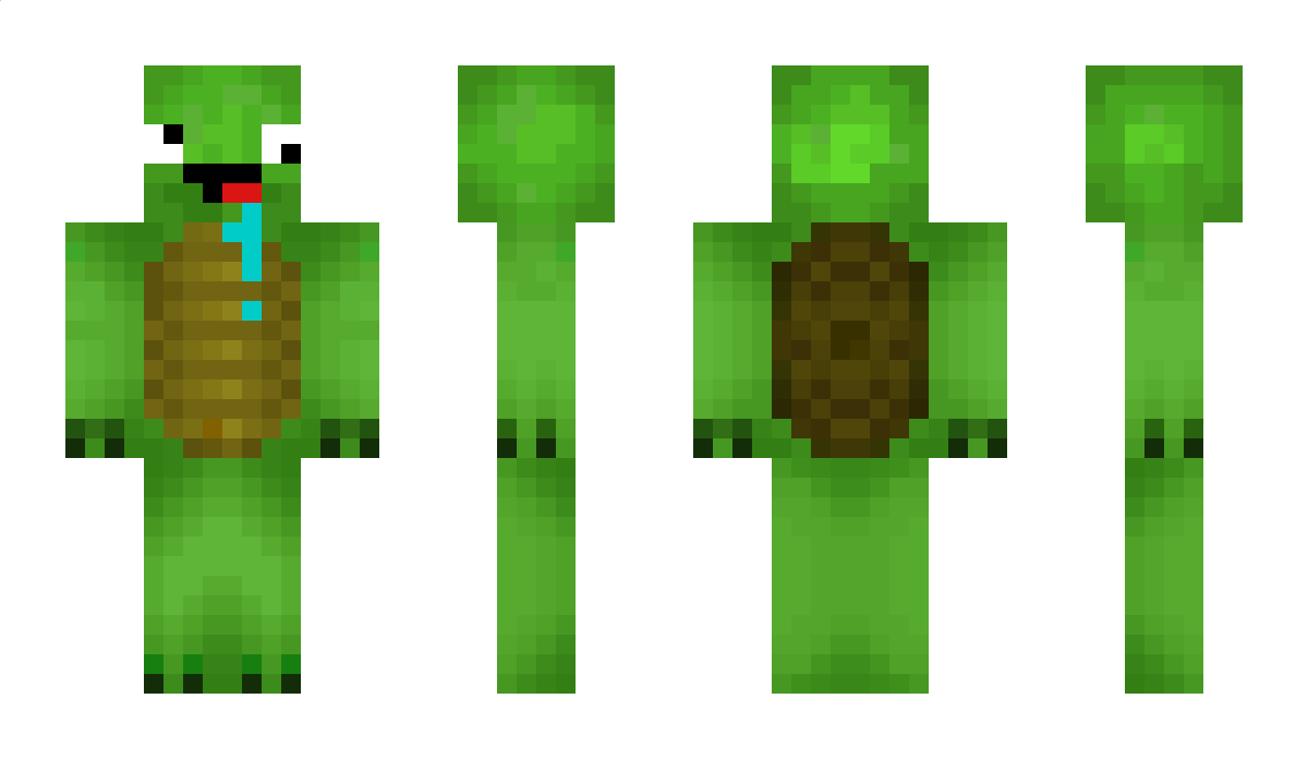 BeardedTurtle Minecraft Skin