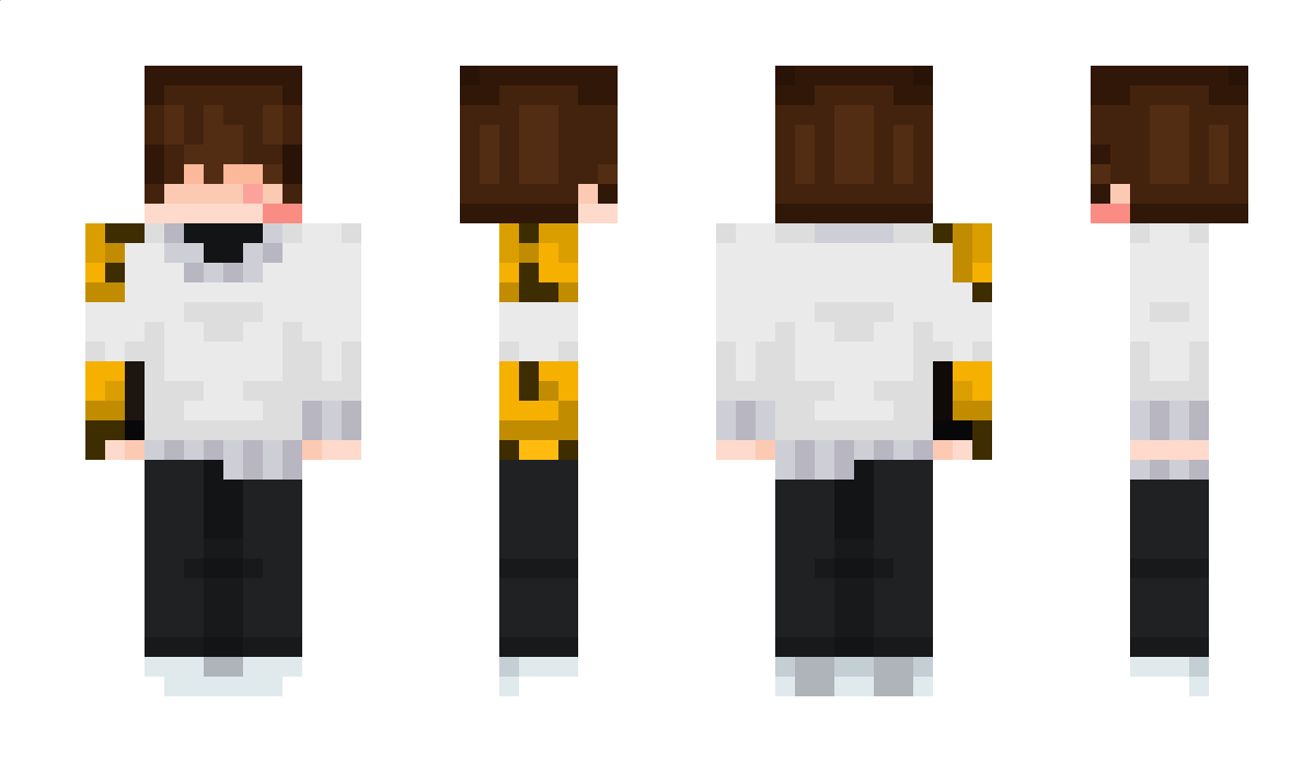 Pengeun Minecraft Skin