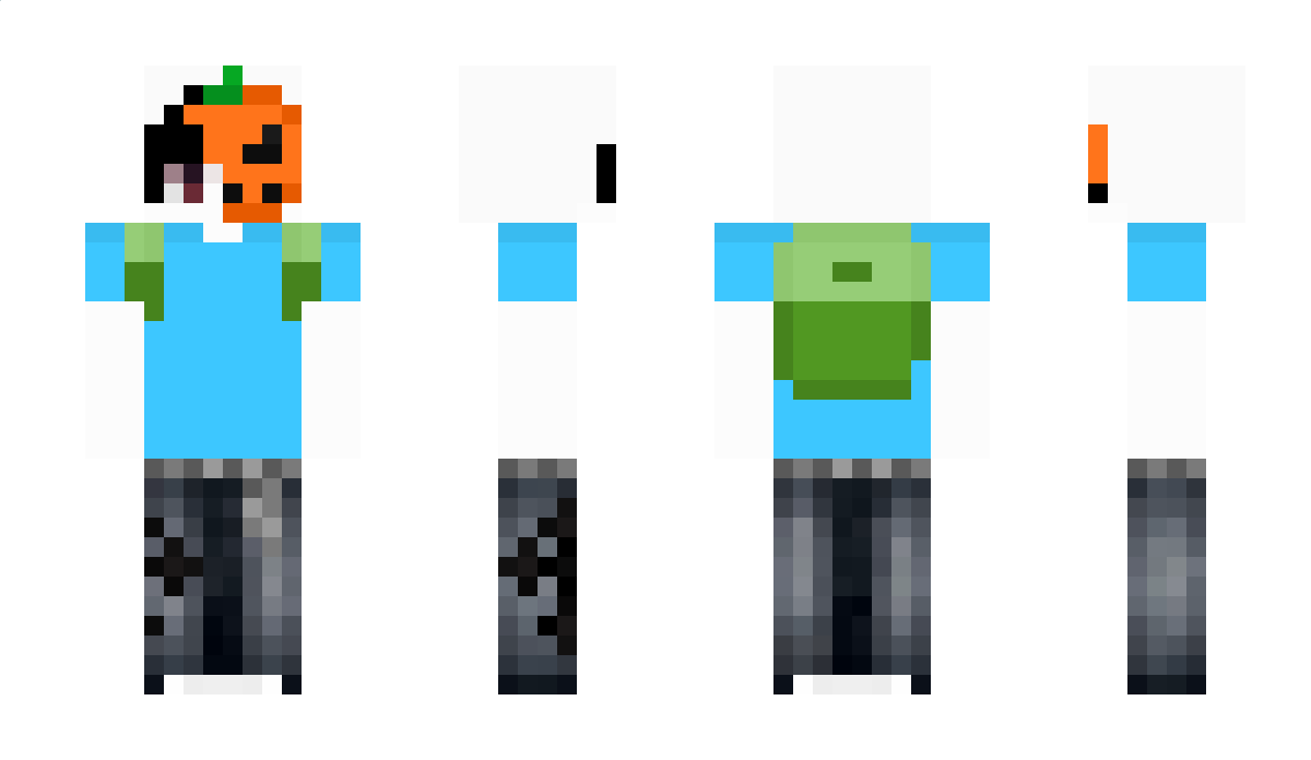 Dormilonky Minecraft Skin