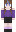 StarrDust_ Minecraft Skin