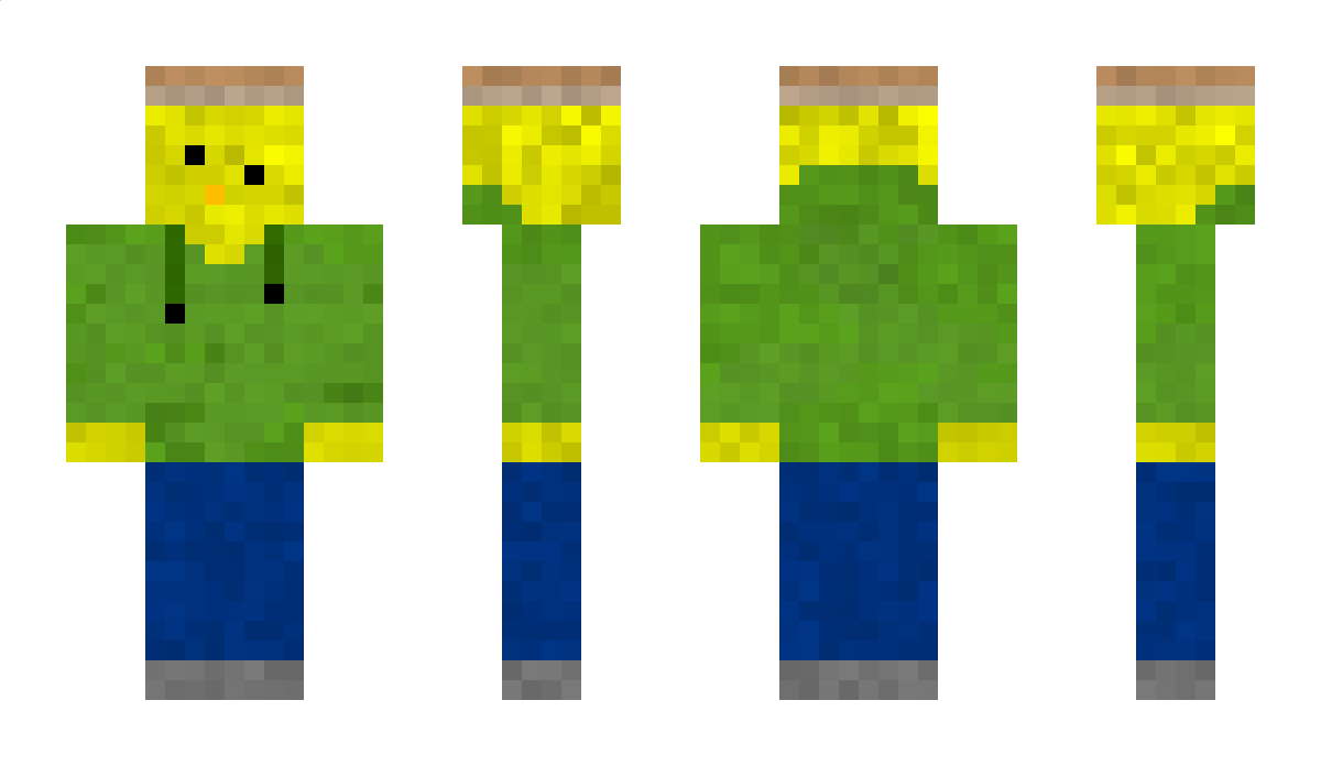 TheCoolDuckYT Minecraft Skin