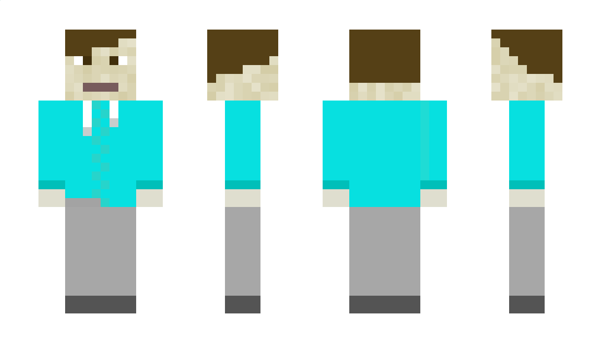 DairyToaster808 Minecraft Skin