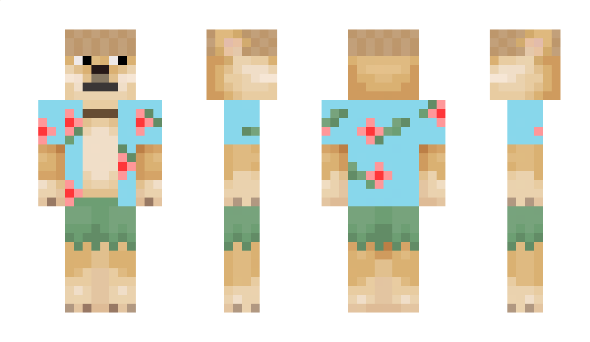 celestyr Minecraft Skin