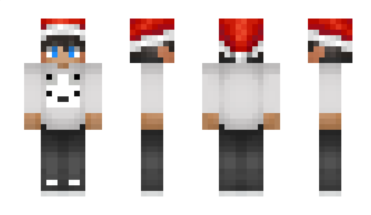 PandaZ8 Minecraft Skin