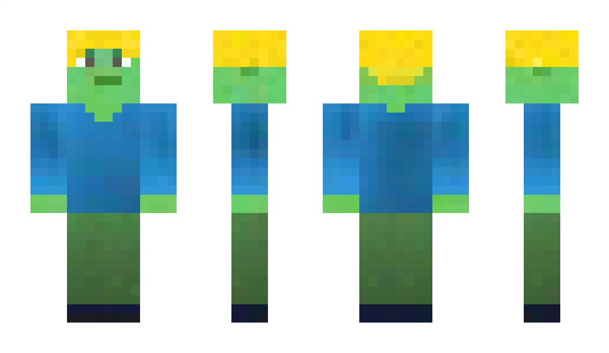 Some1RandomDuck Minecraft Skin