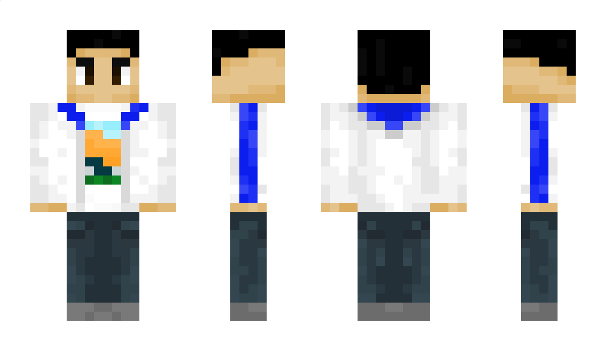 Pixelacat Minecraft Skin