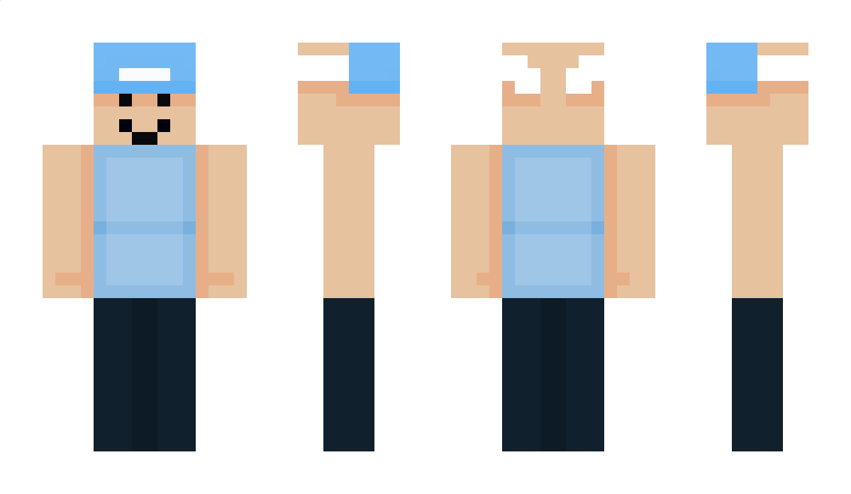 DeBoboBros Minecraft Skin