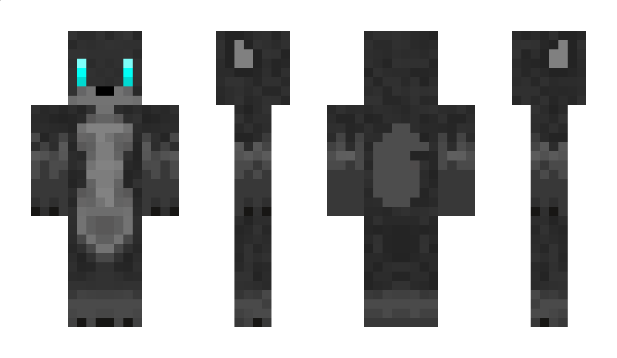 Cadre Minecraft Skin