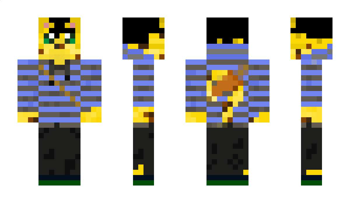 cheeetahs Minecraft Skin