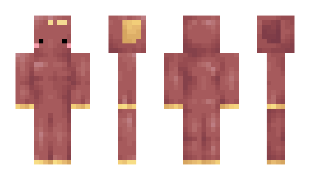 RITZ_5 Minecraft Skin