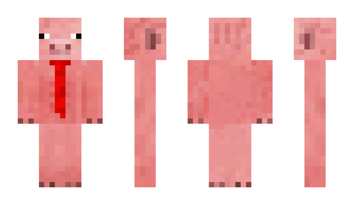 X_ender120 Minecraft Skin