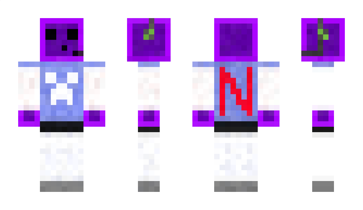 _NikWas_ Minecraft Skin