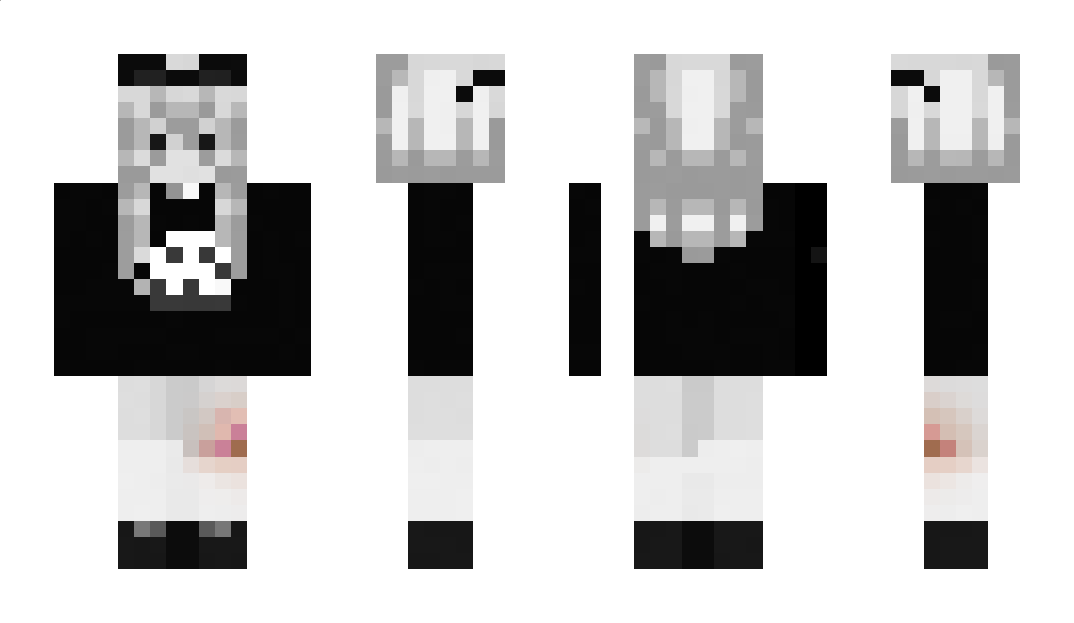 1b1a Minecraft Skin