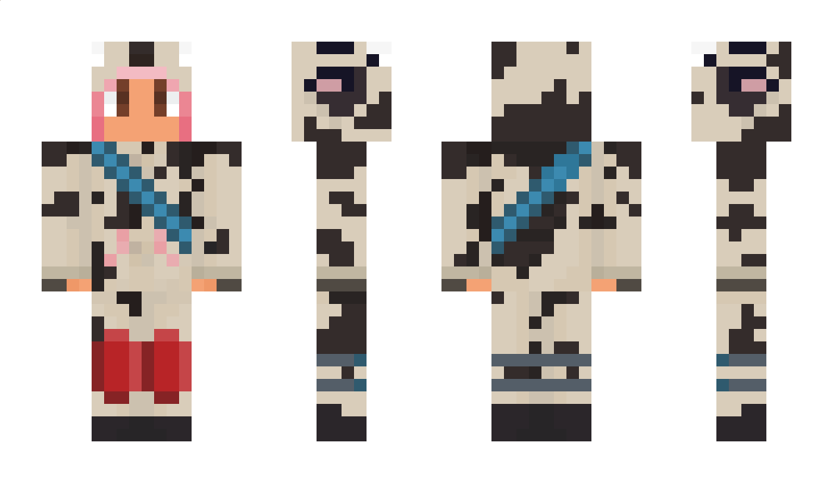 1o7c Minecraft Skin