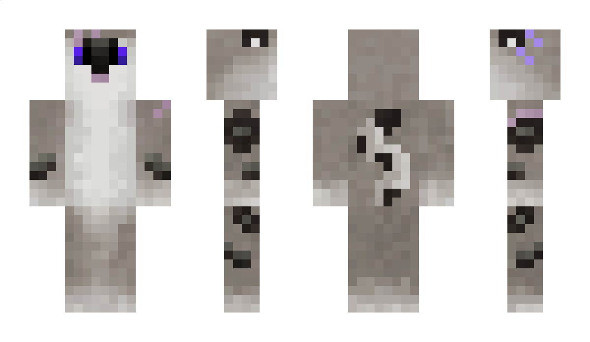 Warmercat Minecraft Skin