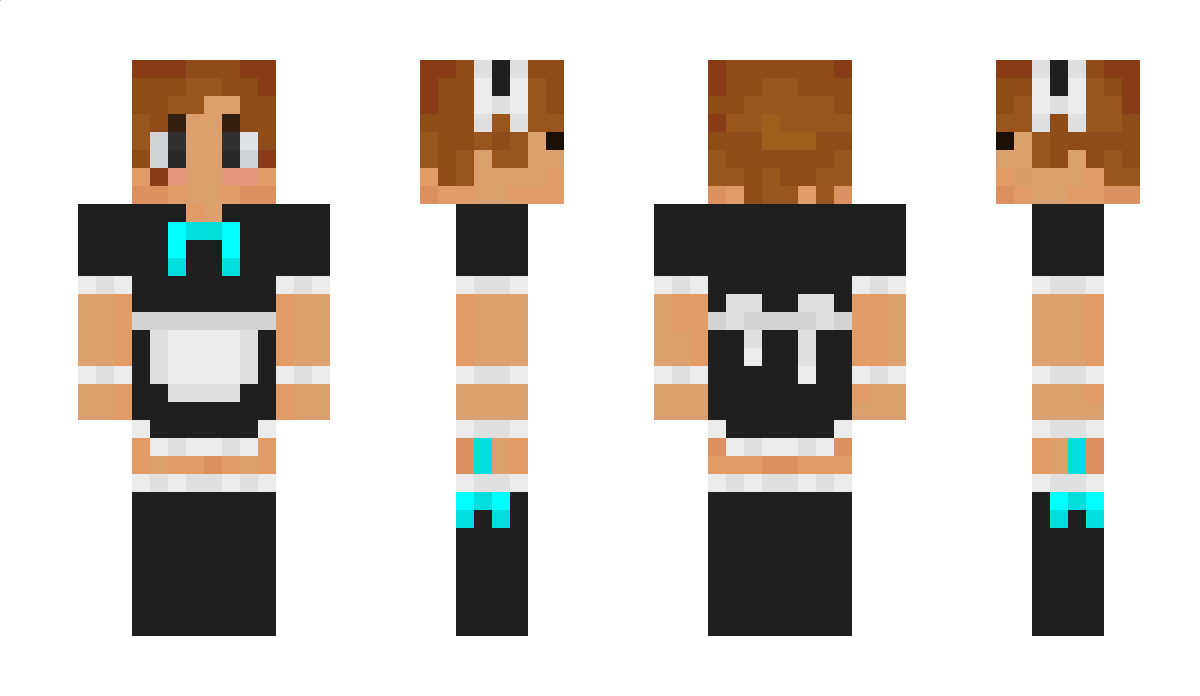 TheBreadFish Minecraft Skin