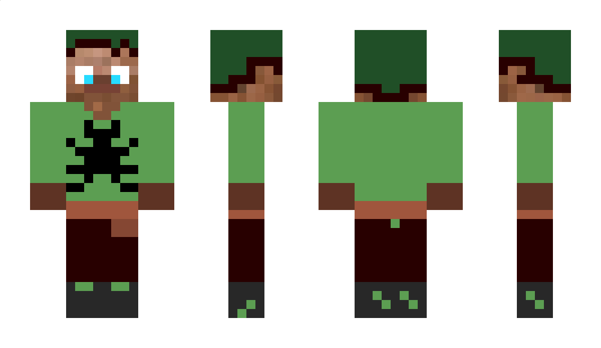 BeetleBook86740 Minecraft Skin