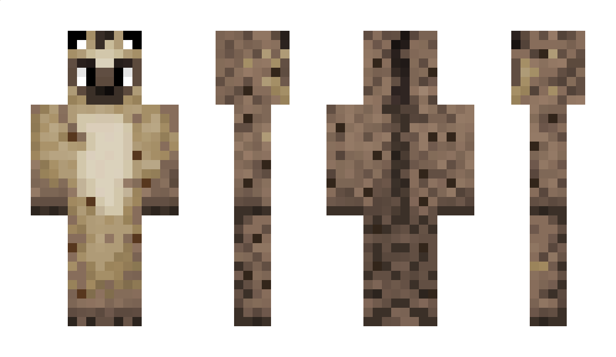 SashaBoDraken Minecraft Skin