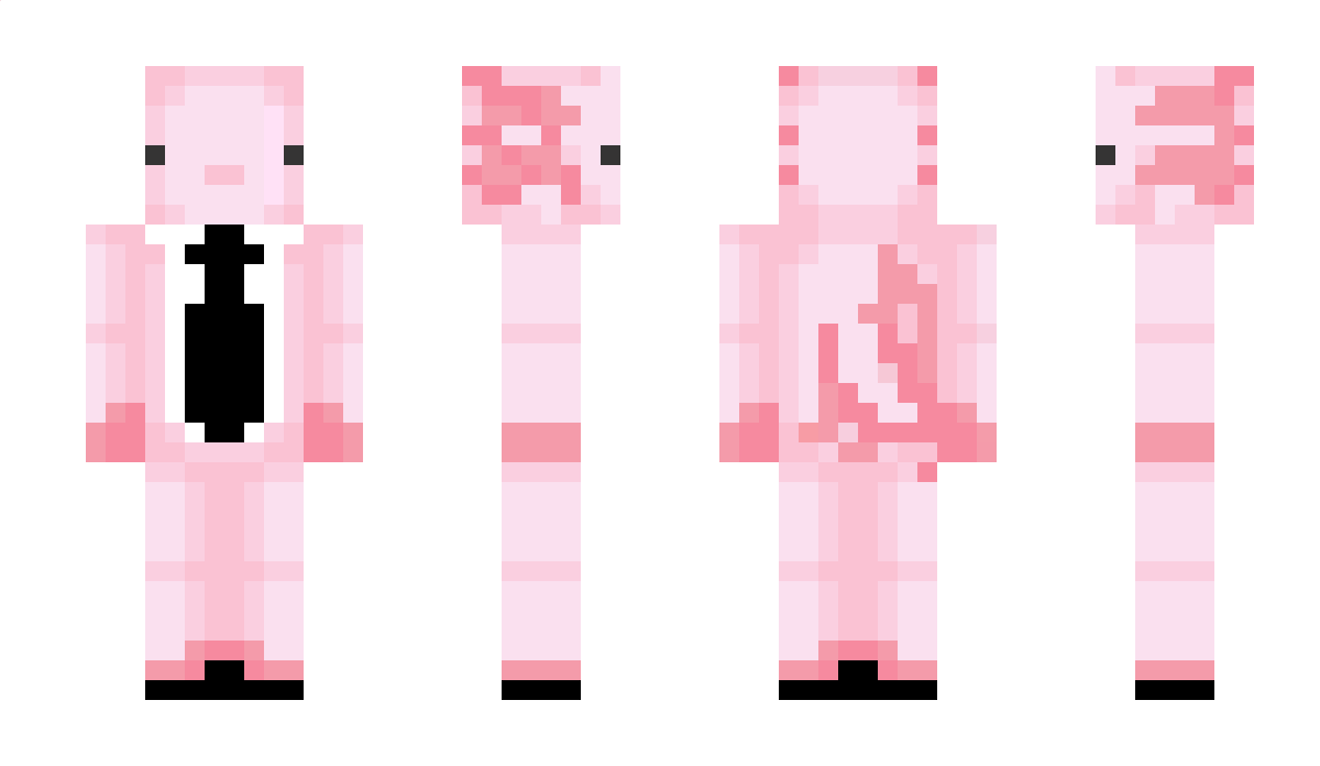 Finstar811 Minecraft Skin