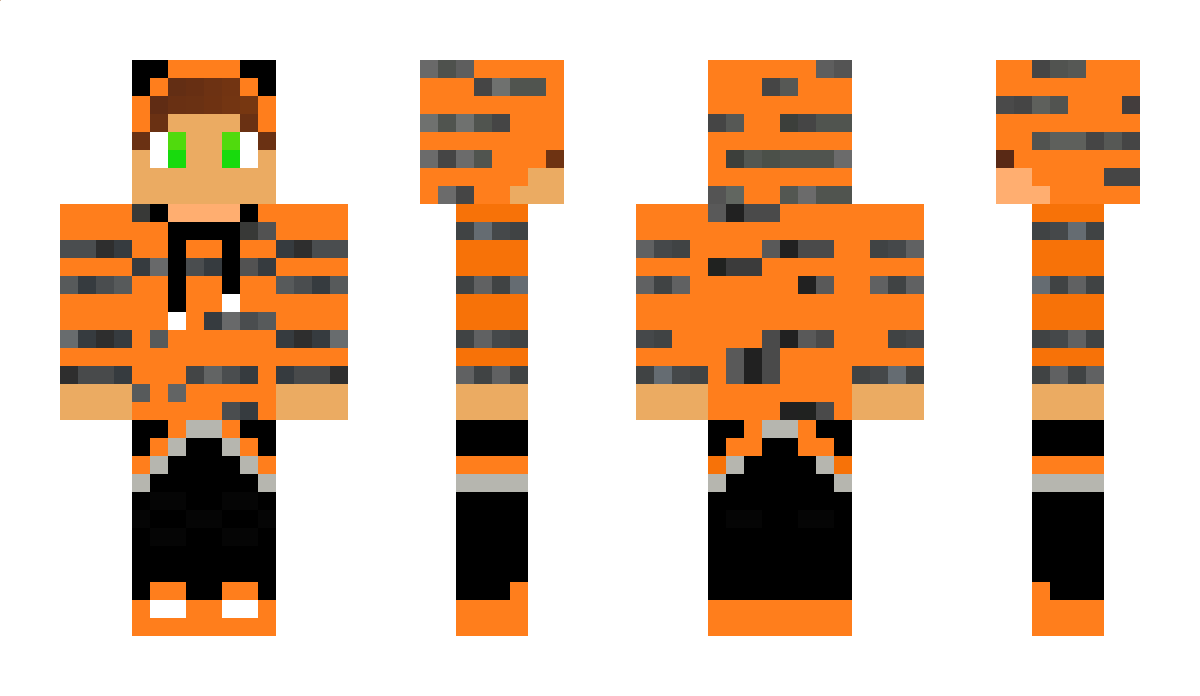 tigergamz Minecraft Skin