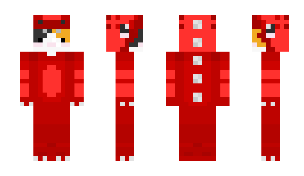 _N00bgamer Minecraft Skin