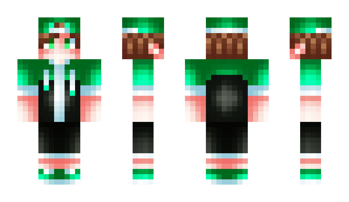 elart Minecraft Skin