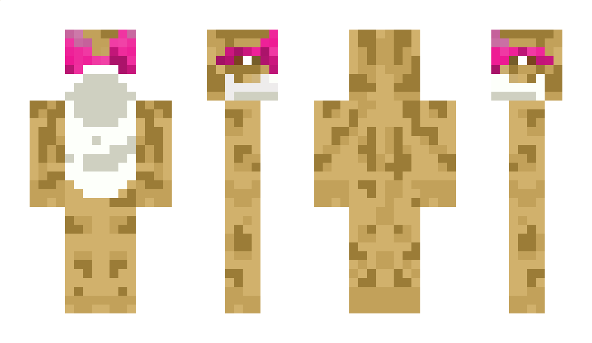 SpinkleTv Minecraft Skin